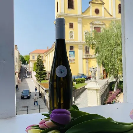 Urania Apartmanhaz 公寓式酒店 埃格尔